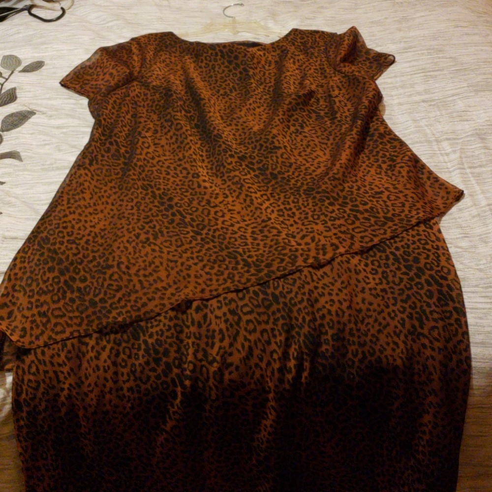 Dress - Picture 5 of 6